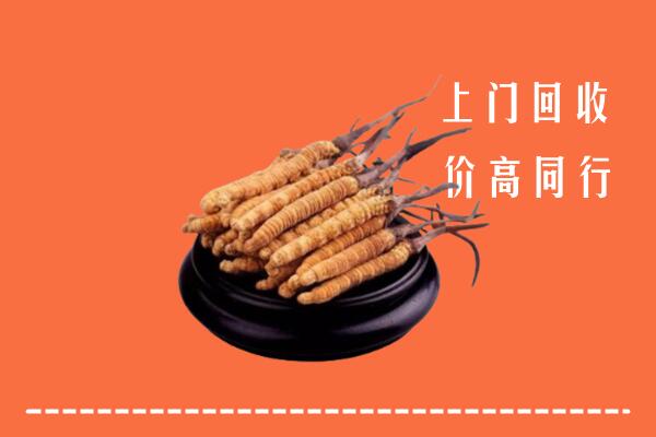 高价求购：安庆市宿松县回收散虫草